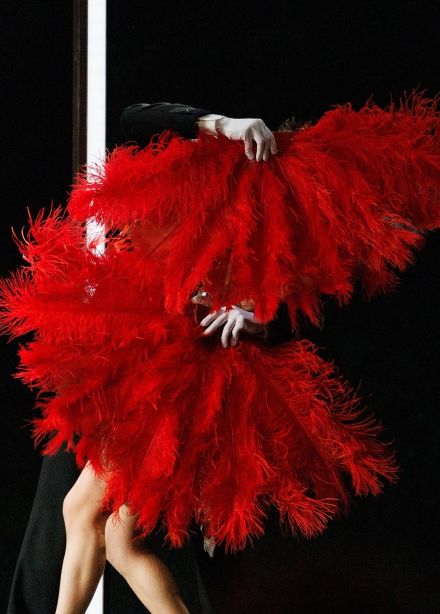 Фиалка Монмартра