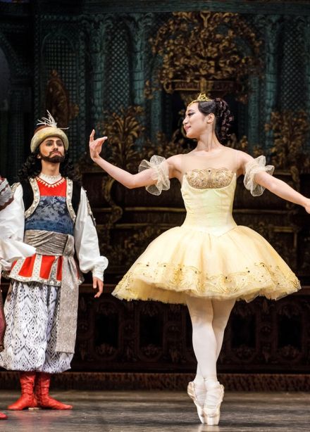 Спящая красавица