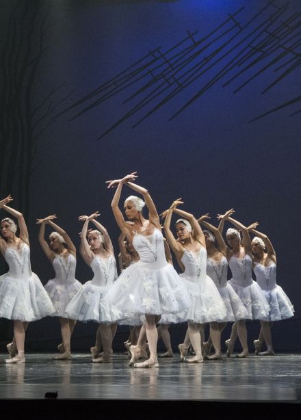 Лебединое озеро