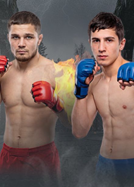 Бои в клетке "Северный воин"