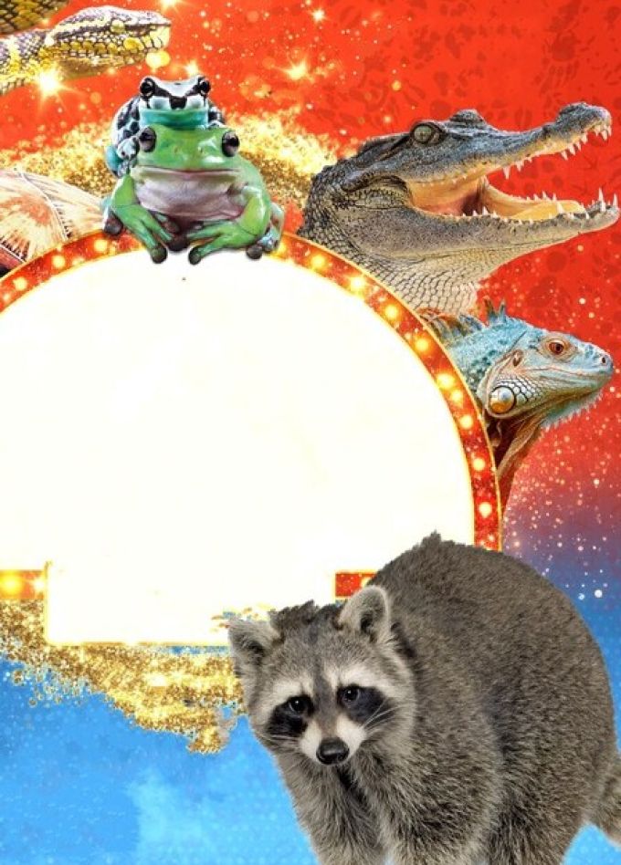 Фантастические твари: Выставка